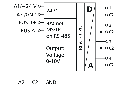 BMT-AO4 principeschema.png