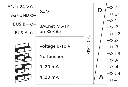 BMT-CI4 principe schema.webp