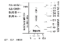 BMT-TP principeschema.webp