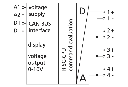 FAA principeschema.webp