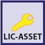 LIC-ASSET*