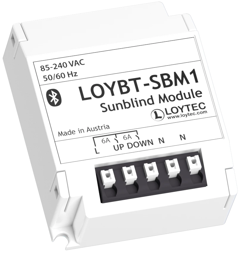 [70003360] LOYBT-SBM1